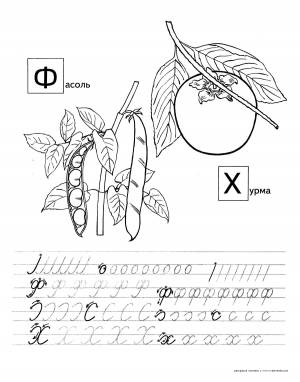 Раскраски аскраска, Раскраска Раскраска Фасоль и хурма хурма