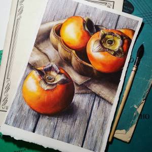 Хурма рисунок