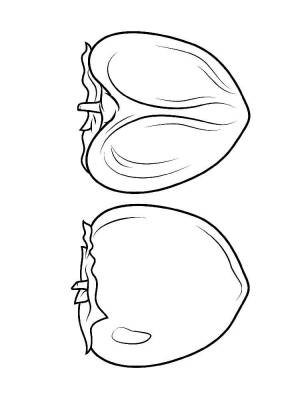 Раскраски Хурма