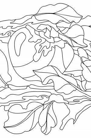 Хурма на ветке