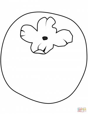 Раскраска Хурма