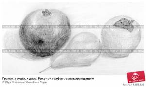 Гранат, груша, хурма