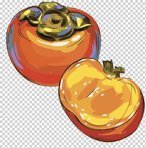 Рисунок хурмы японской иллюстрации, хурма, еда, оранжевый, с днем ​​рождения Векторные изображения png