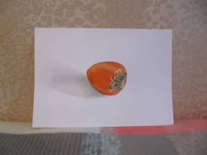 Как нарисовать хурму?