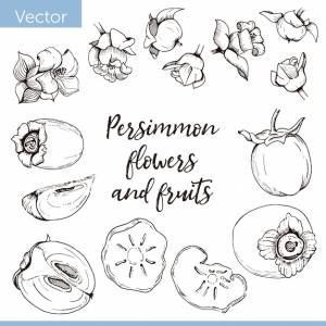 Набор элементов