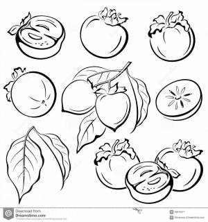 Раскраски Хурма для детей