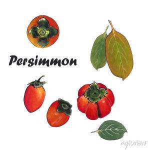 Иллюстрация оранжевая хурма с листьями