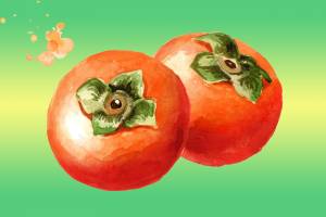 Хурма рисунок