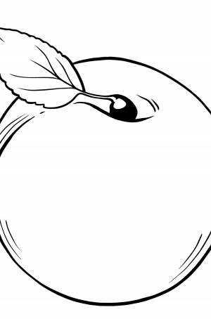Раскраска Абрикос ♥ Раскрашивать Онлайн  !