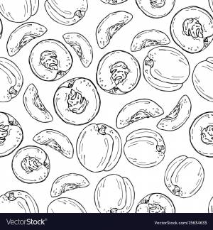 Абрикос раскраска