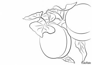 Раскраска Сочные фрукты