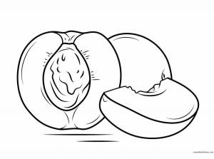 Раскраски Абрикос для детей