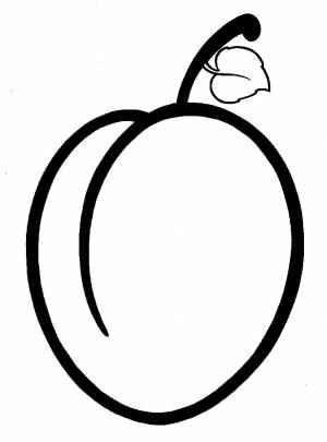 Раскраска Абрикос