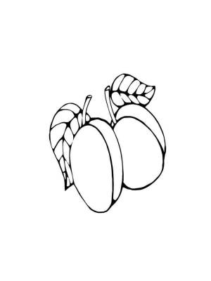 Раскраска Абрикос