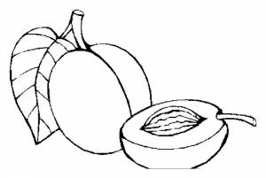 Раскраска Абрикос