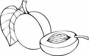 Абрикос раскраска для детей