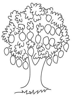 Раскраски Манго