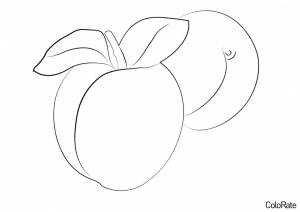 Раскраска Два абрикосика