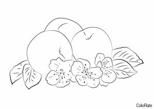 Раскраска Спелые абрикосы