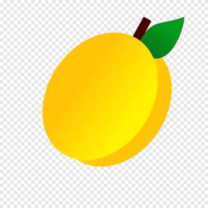 абрикос, фрукты, рисунок, набросок, png