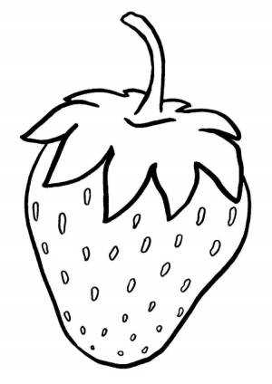 Картинка клубника раскраска