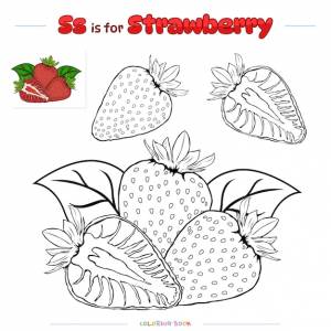 Раскраска клубника фрукты