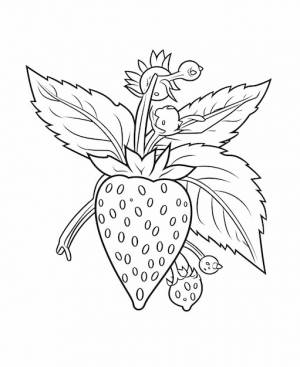 Клубника мультфильм векторная иллюстрация природа концепция изолированный премиум талисман фрукт раскраски