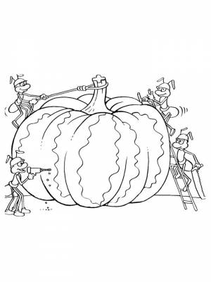 Раскраски Тыква   в формате