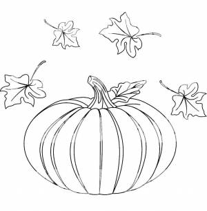Раскраски Раскраска Тыква