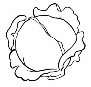 Раскраска Капуста 19
