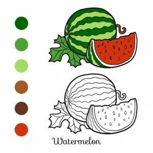 Книжка-раскраска для детей, арбуз