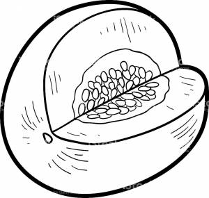 Раскраска Дыня