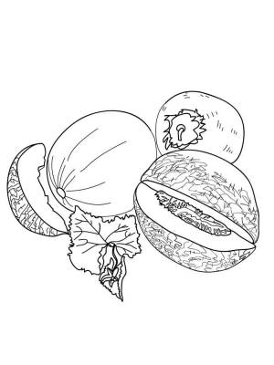 Раскраска Дыня