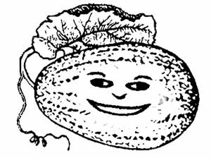 Раскраска Дыня
