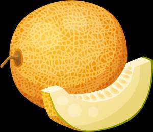 Дыня рисунок
