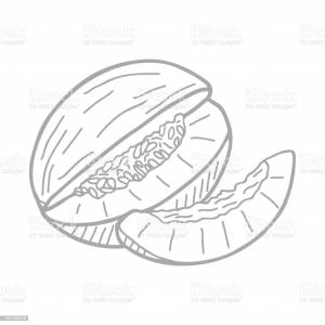 Дыня рисунок карандашом