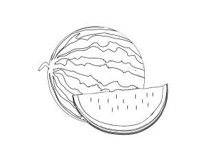 Дыня рисунок карандашом