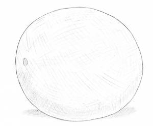 Как нарисовать дыню канталупа