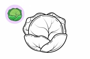 Книжка-раскраска капуста
