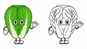 Капуста раскраска