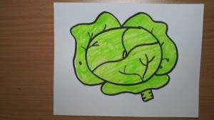 Как нарисовать капусту?
