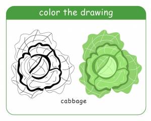 Книжка-раскраска для детей капуста в цвете и черно-белом