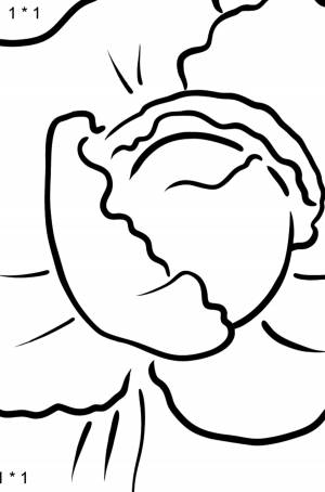 Раскраска Капуста белокочанная для малышей