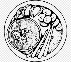 Кекс Книжка-раскраска Пищевой суп, еда в тарелке, суп, еда png