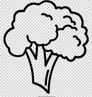 Книжный Рисунок, Книжка-Раскраска, Брокколи, Штриховые Рисунки, Мультфильм, Овощ, Еда, Живопись png