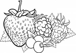 Раскраски Ягоды и Фрукты   в формате