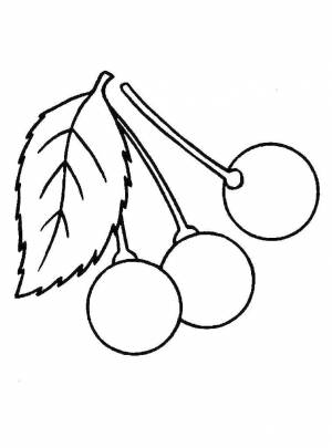 Раскраски Раскраска Вишня ягода ягоды