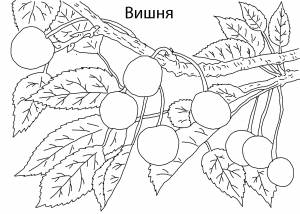 Раскраски Раскраска Вишня ягоды, Сайт раскрасок