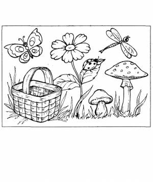 Раскраски лес грибы ягоды