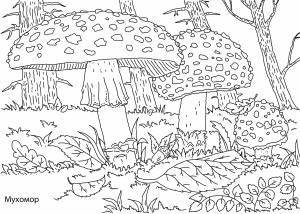 Раскраски лес грибы ягоды